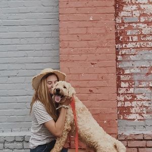 Meet your Posher, Meredith